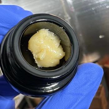 Photograph of product: Malek's Melts | Mixed Micron Live Rosin | Garlic Juice