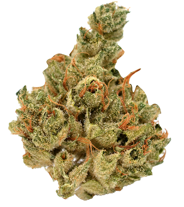 Photograph of product: Heirbloom By CBX | Master Kush | 3.5G