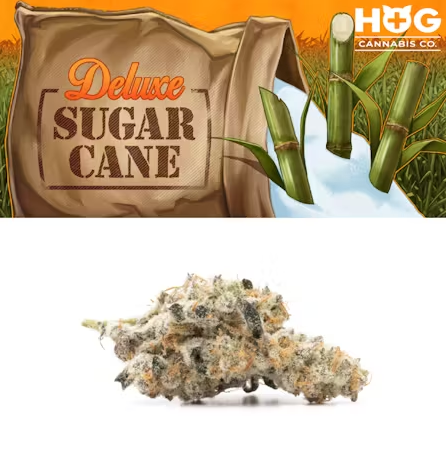 Photograph of product: HOG DELUXE SUGAR CANE PREROLL 1.2G