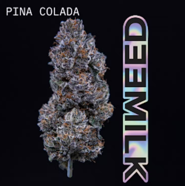 Photograph of product: Milk Oui'd | Pina Colada | Flower | 3.5g