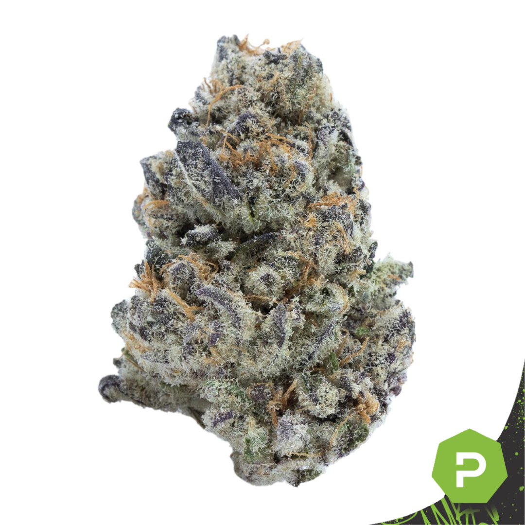 Photograph of product: Epic Roots | Fierce Animal - 28g