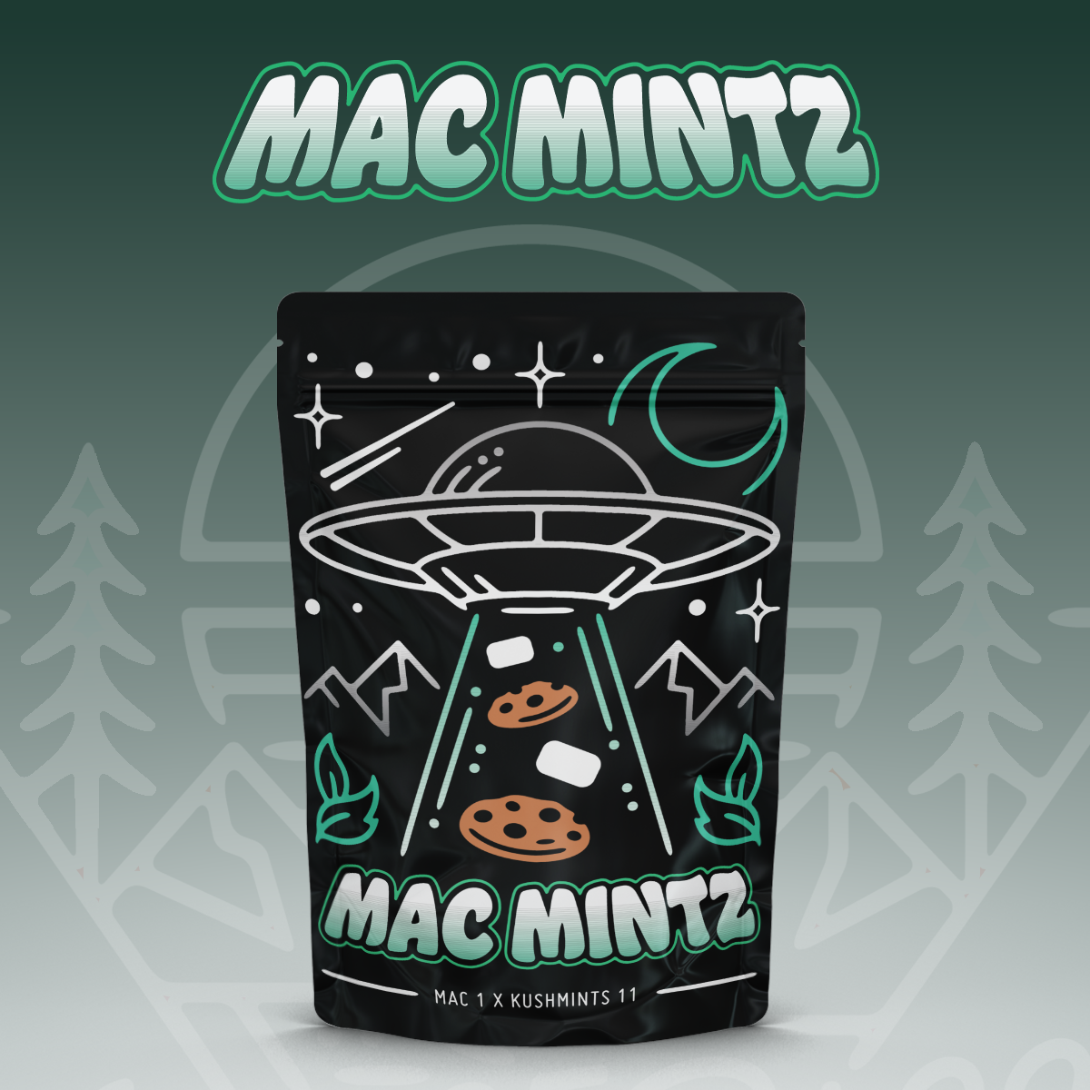 Photograph of product: Voyage Bloom | Mac Mintz Pre-Pack Flower - 3.5g