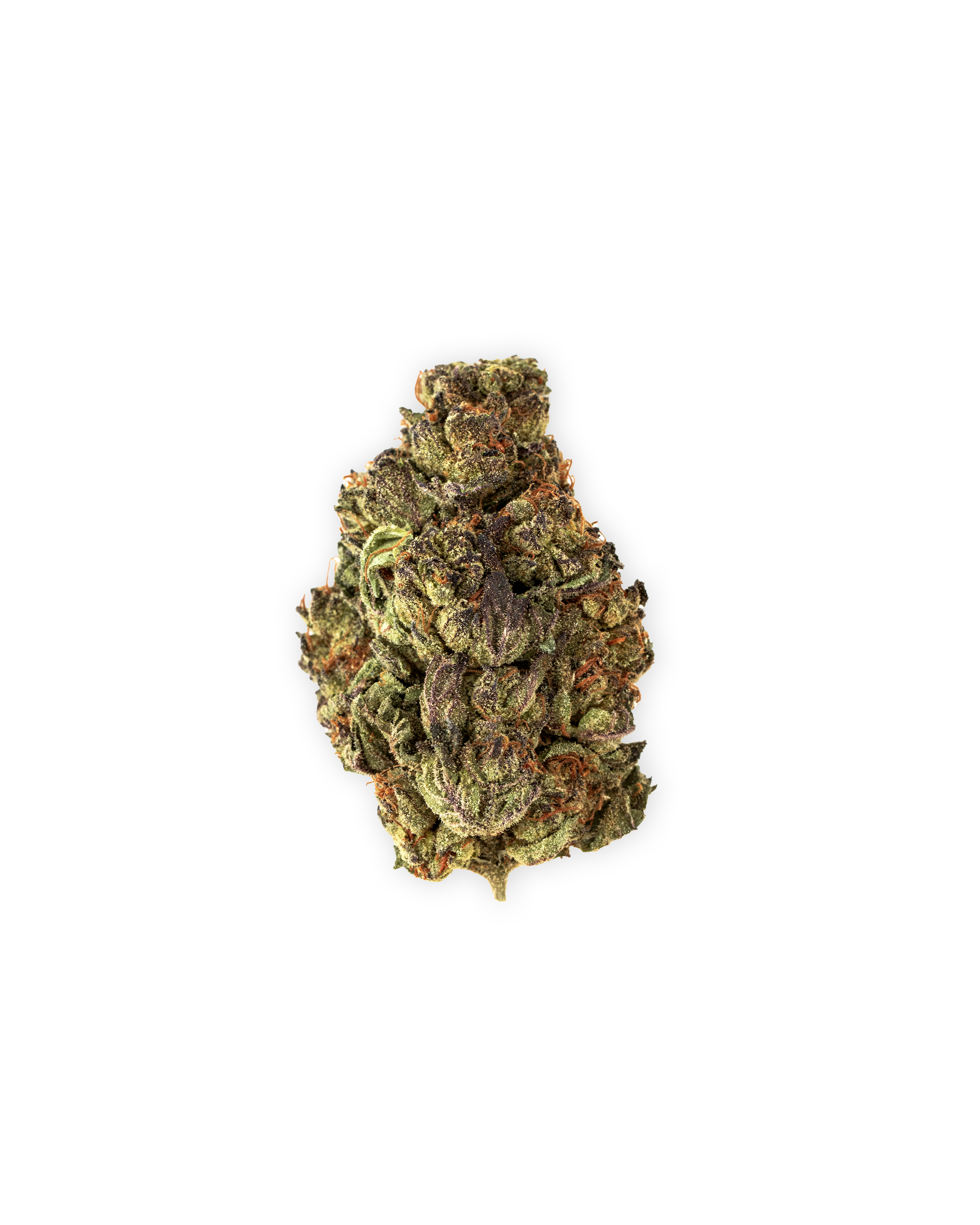 Photograph of product: NORTHERN LIGHTS - 14g