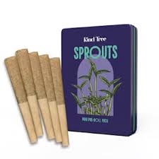 Photograph of product: Palisades Mint Pre-Roll | 5 Pack x 0.35g