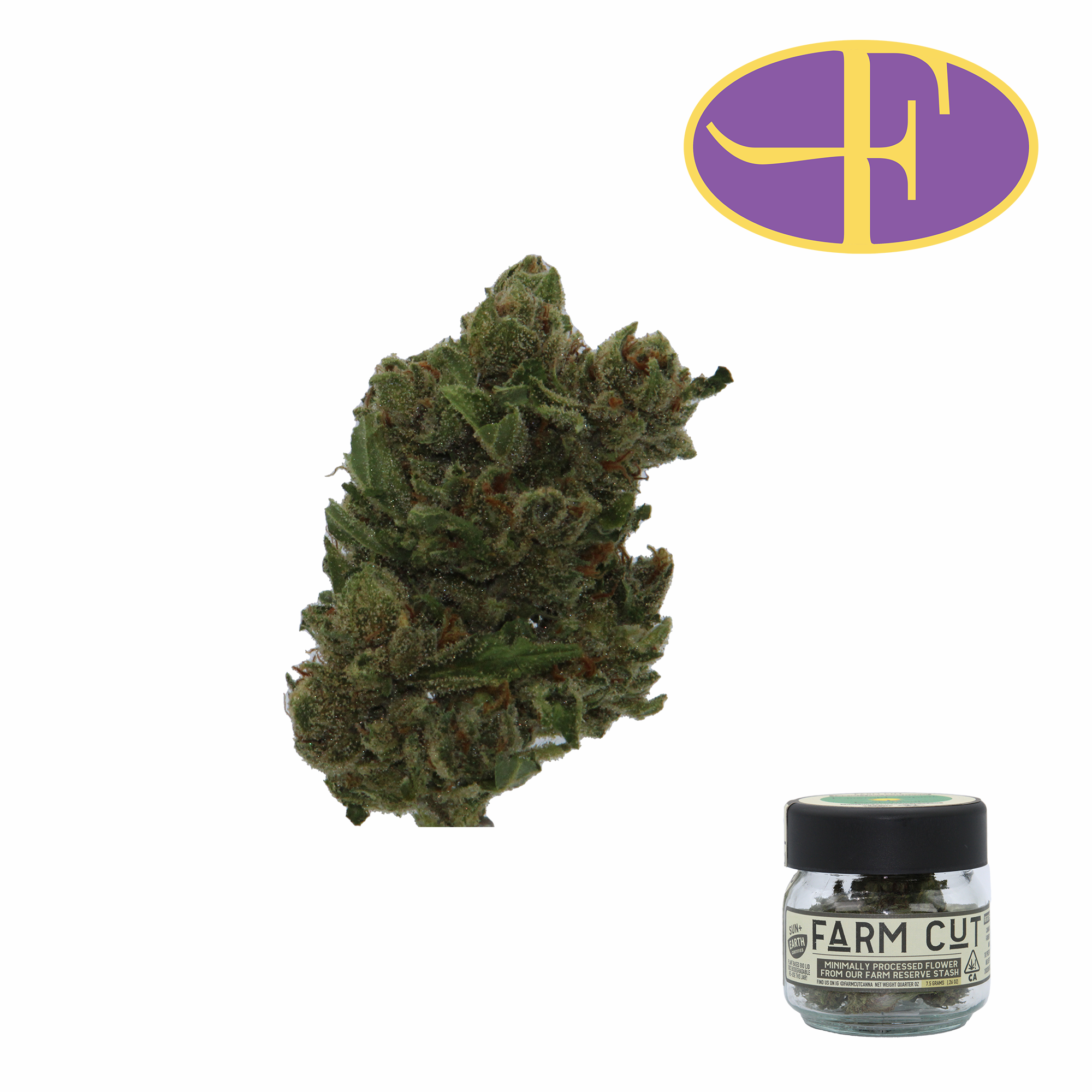 Photograph of product: Jack Herer