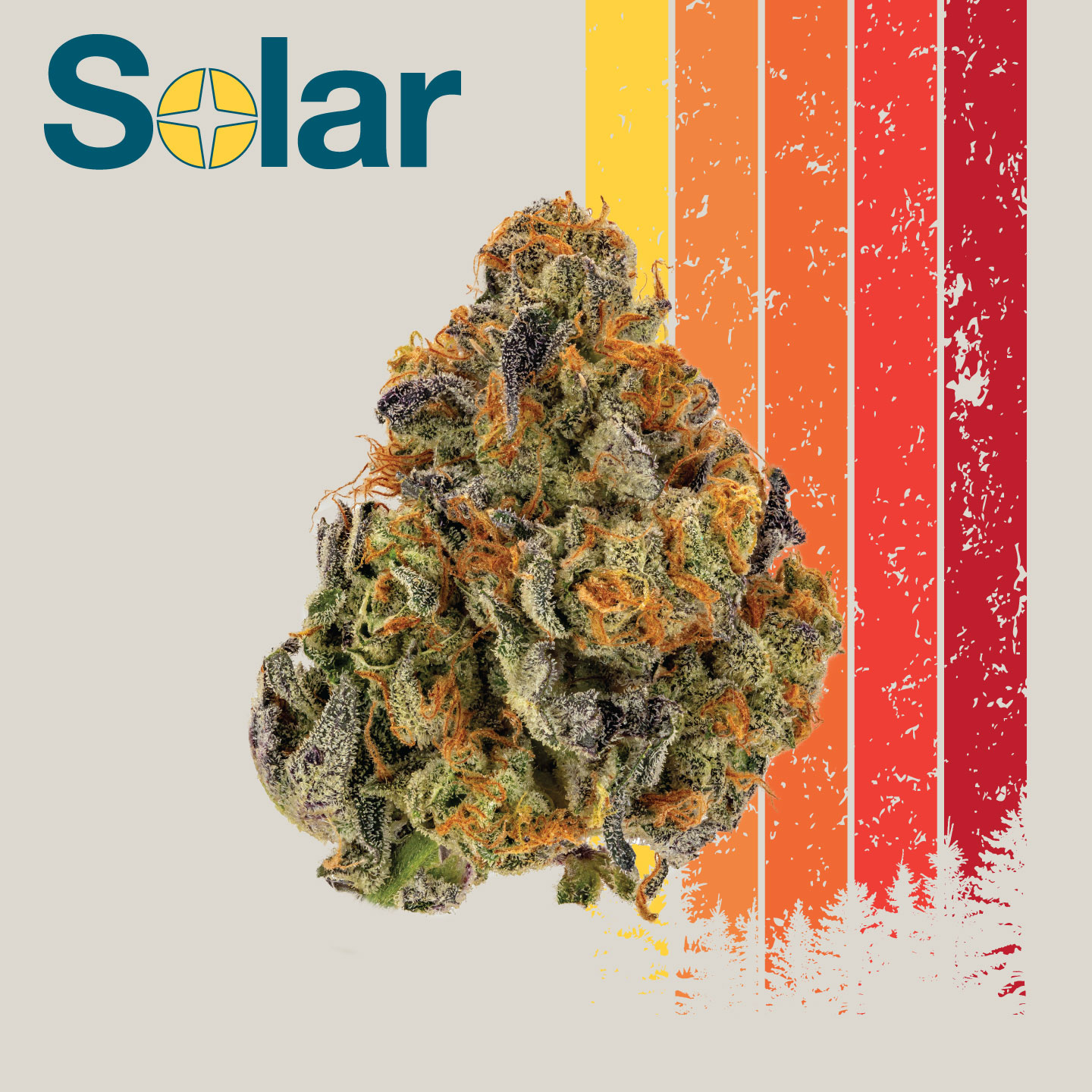 Photograph of product: Pablo's Private Reserve | Solar | 3.5g