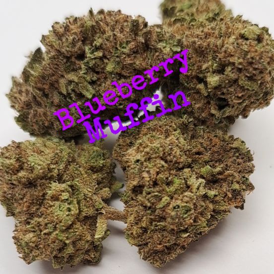 Photograph of product: BBM - Loose Flower - Williams Wonder - (Batch 06558) - 1g