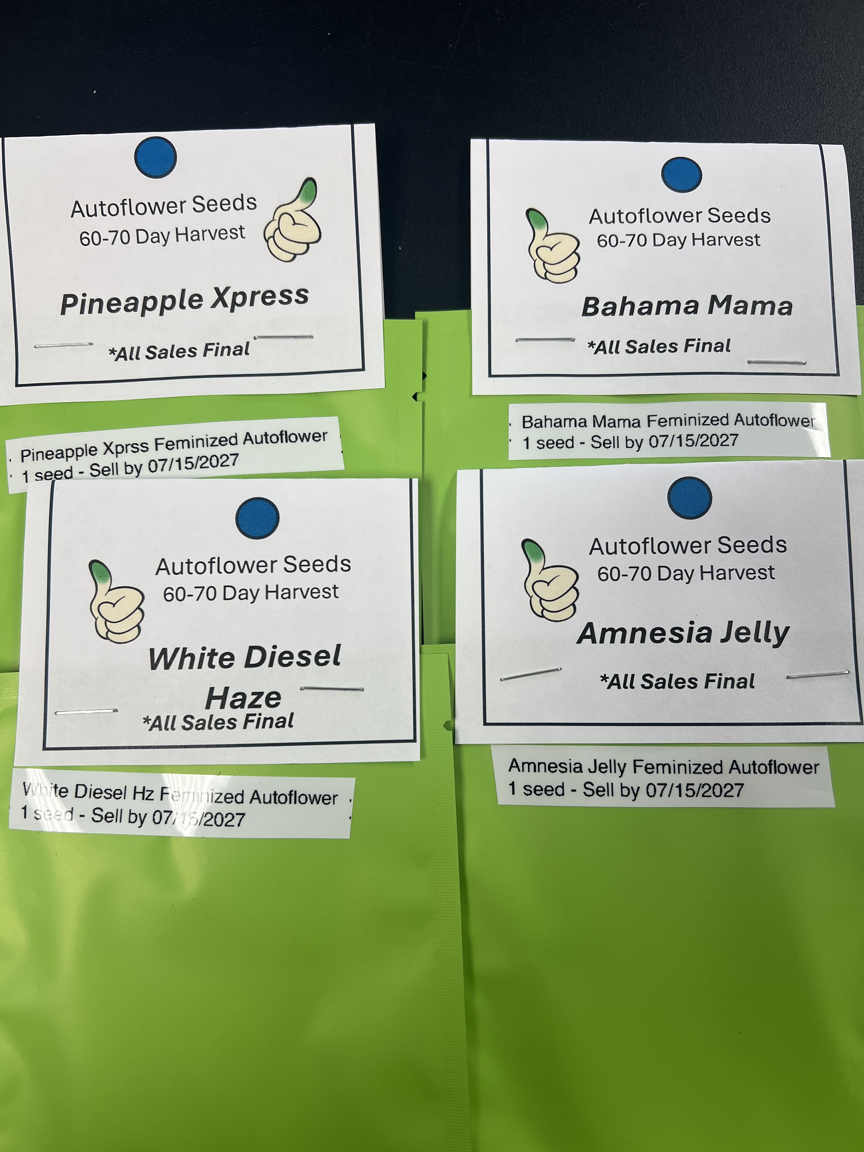 Photograph of product: 1 White Diesel Haze Autoflower Seed