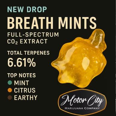 Photograph of product: Motor City | Breath Mints | 1g CO2 AIO