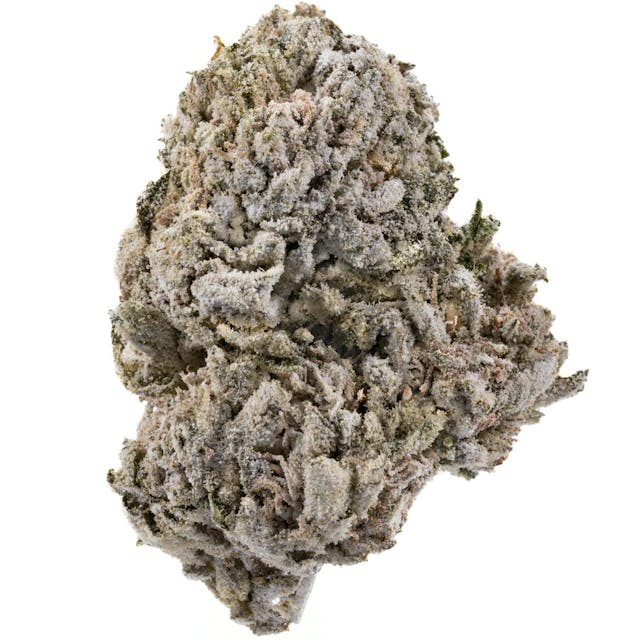 Photograph of product: Red Velvet | 7G Infused - 