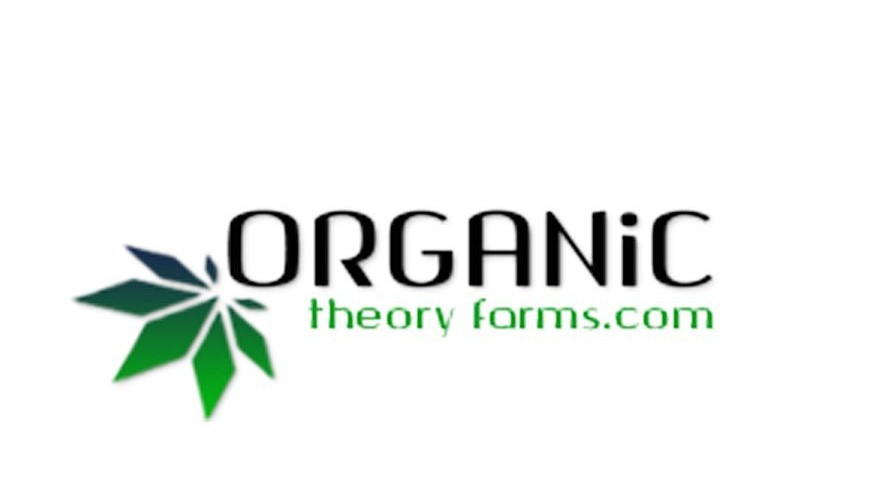 Photograph of product: Organic Theory | Super Silver Haze - 28g