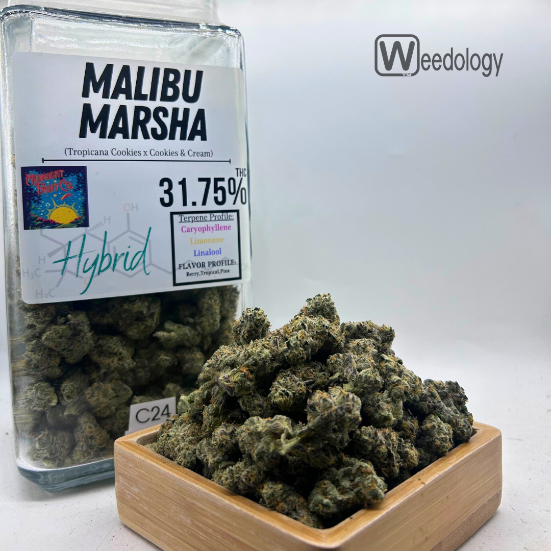 Photograph of product: Malibu Marsha (H) - 28g