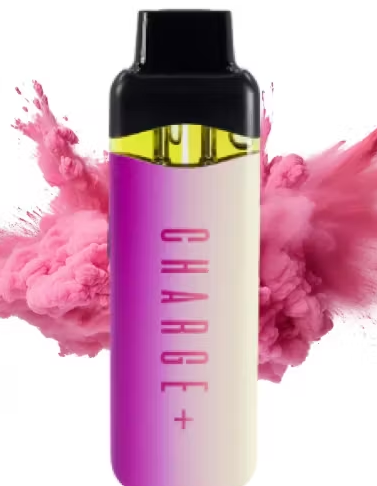 Photograph of product: Watermelon Splash x Georgia Pie Dual Chamber Disposable Vape