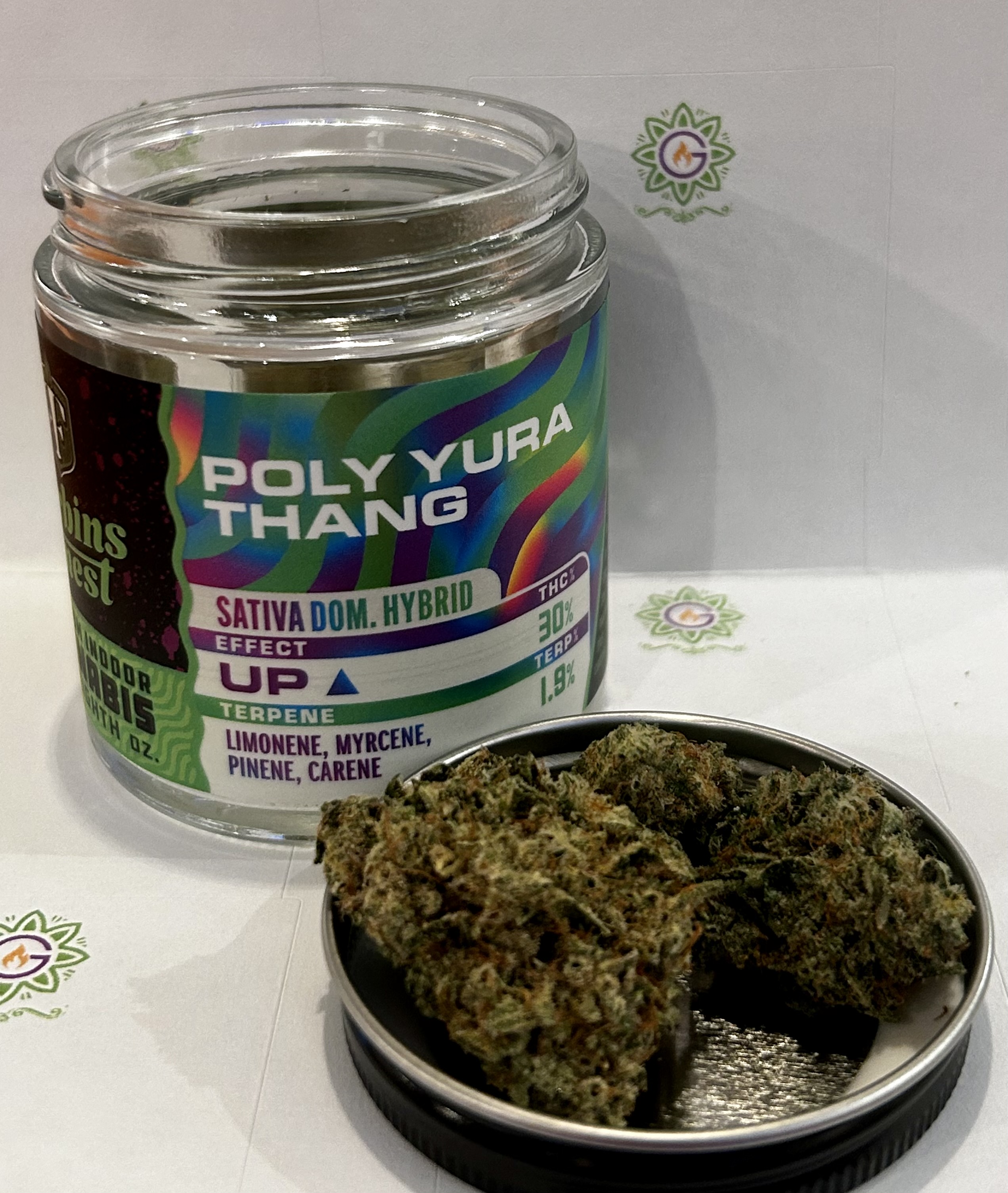 Photograph of product: Poly Yura Thang