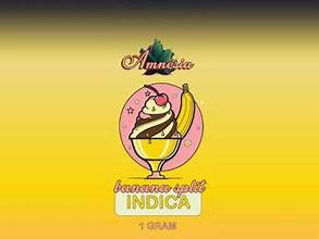 Photograph of product: Zerds - Banana Split au chocolat Rosin Gummies 5pk 200mg