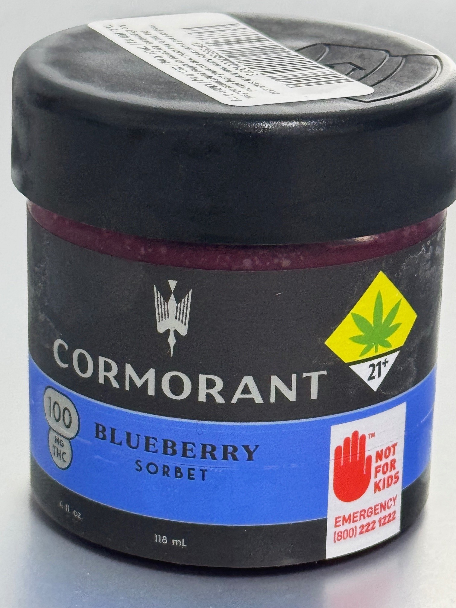 Photograph of product: Blueberry Sorbet - 4oz