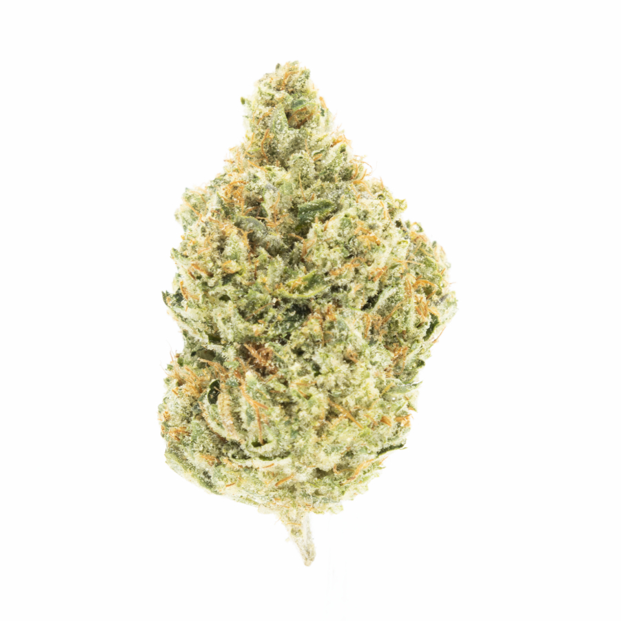 Photograph of product: HEADBAND EIGHTH