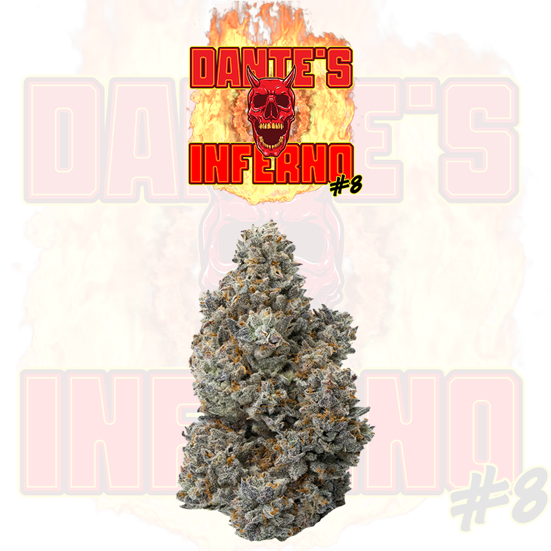 Photograph of product: Dante's Inferno #8 Tier 2 - 3.5g