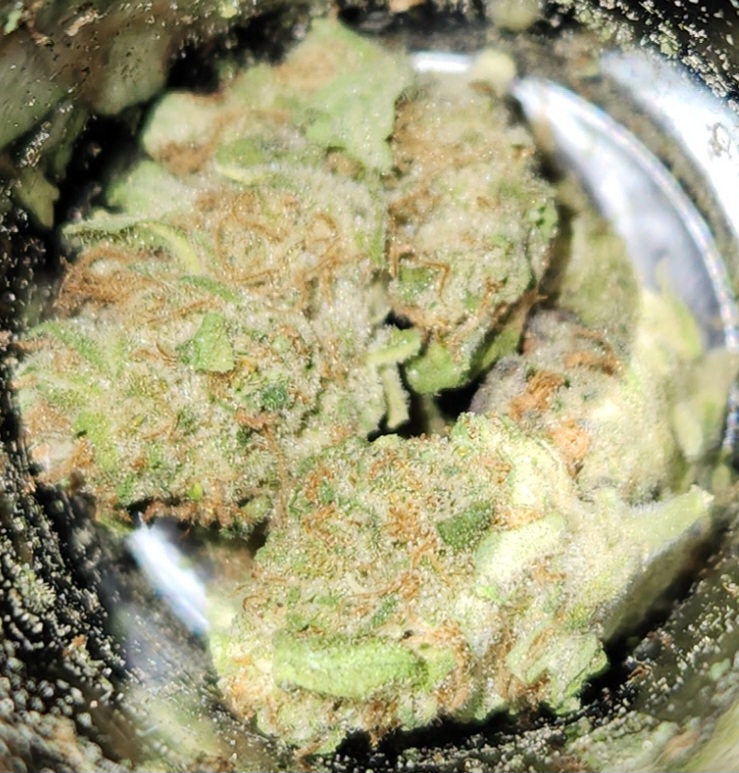Photograph of product: $5 Gram - Flo Black - (S) - 1g