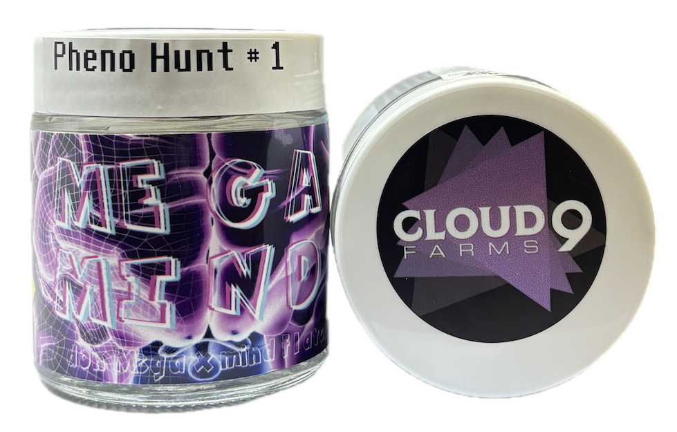 Photograph of product: Mega Mind - 28g