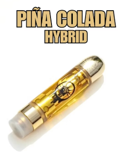Photograph of product: 510 | Pina Colada (H) New York Honey