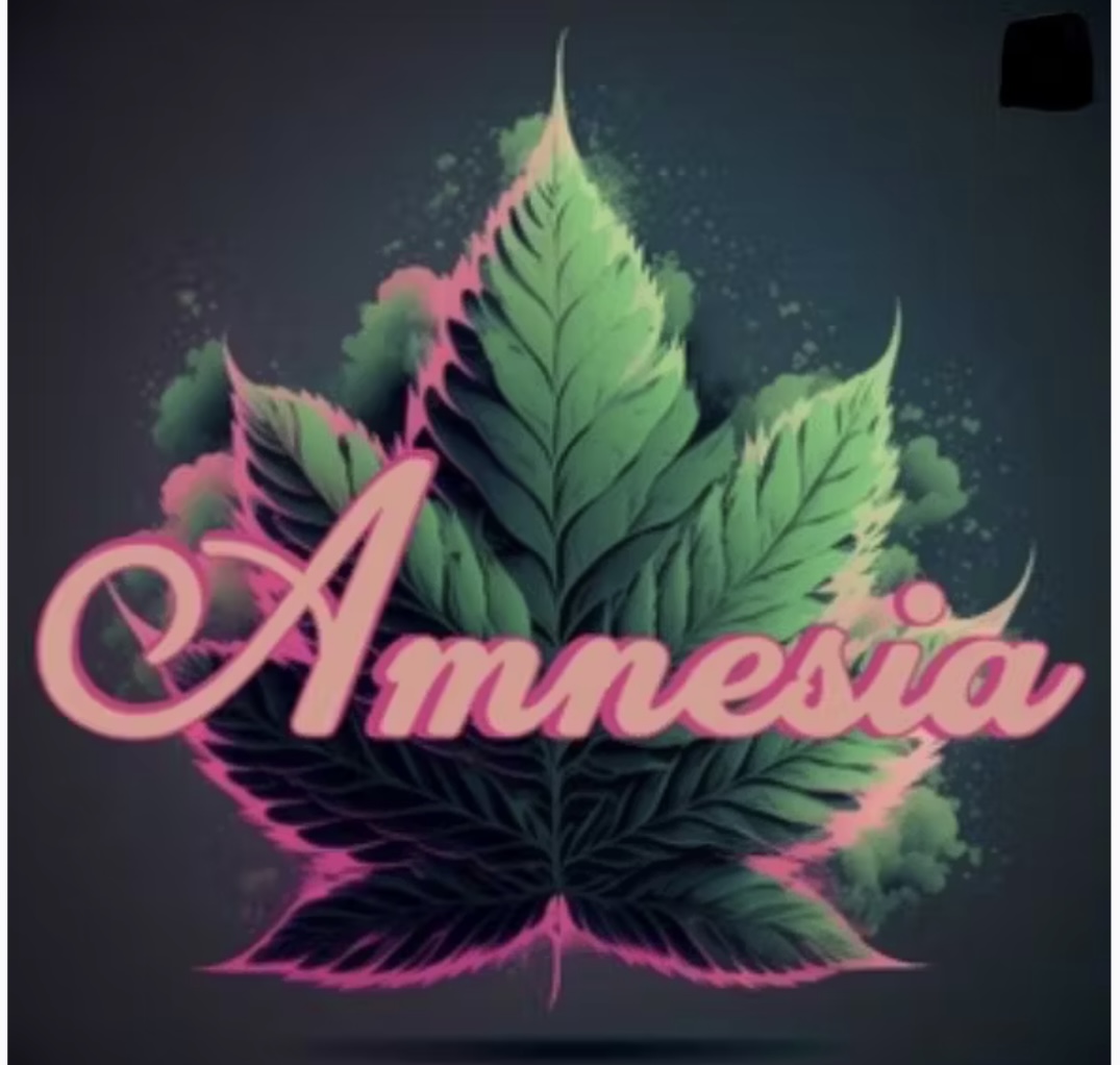 Photograph of product: Amnesia: Pink Lemonade 1.3G Bubble au chocolat Pre-roll