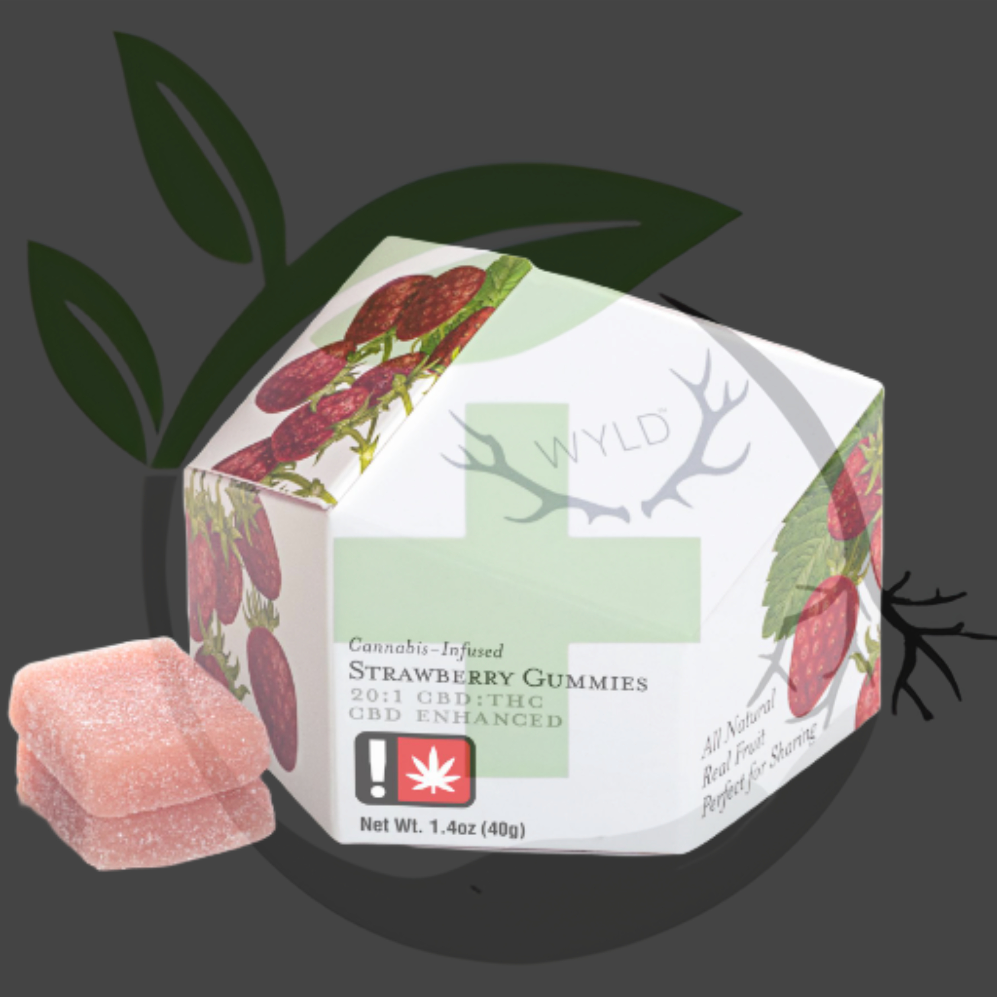 Photograph of product: Gummy - TF - WYLD - 100mg 10pc - Strawberry 20:1 CBD