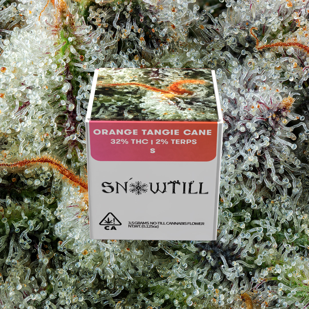 Photograph of Product: SnowTill | Orange Tangie Cane - 3.5g