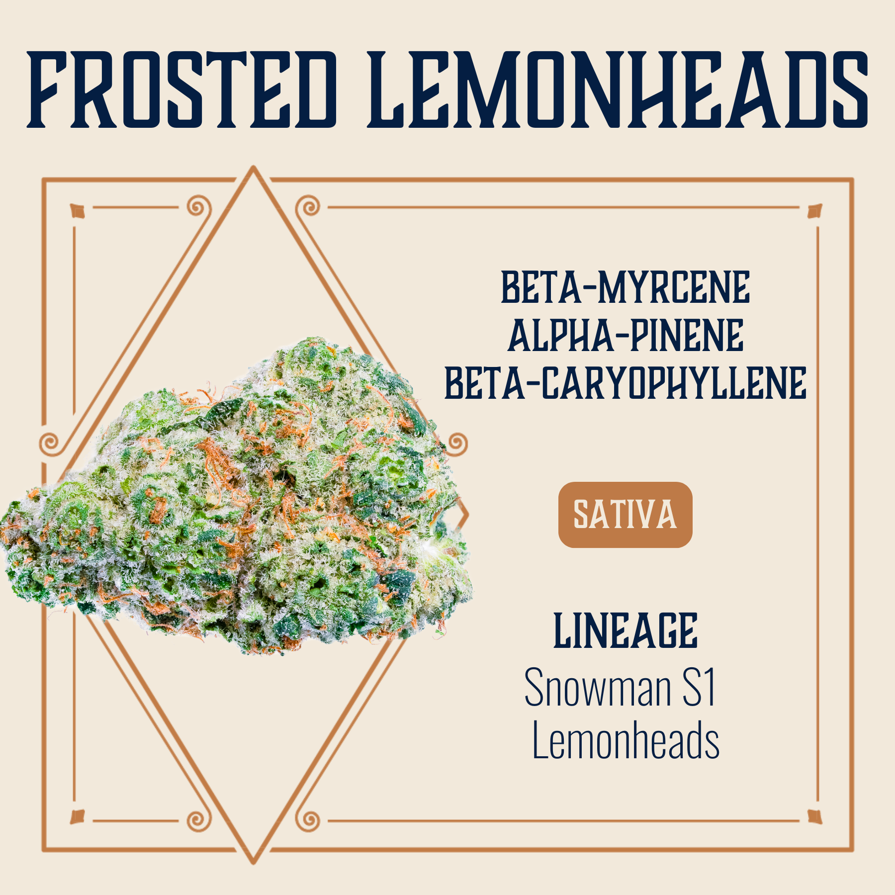 Photograph of product: Elevate: Flower | Frosted Lemonheads | 3.5g