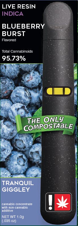 Photograph of product: Freshy AIO - Blueberry Burst