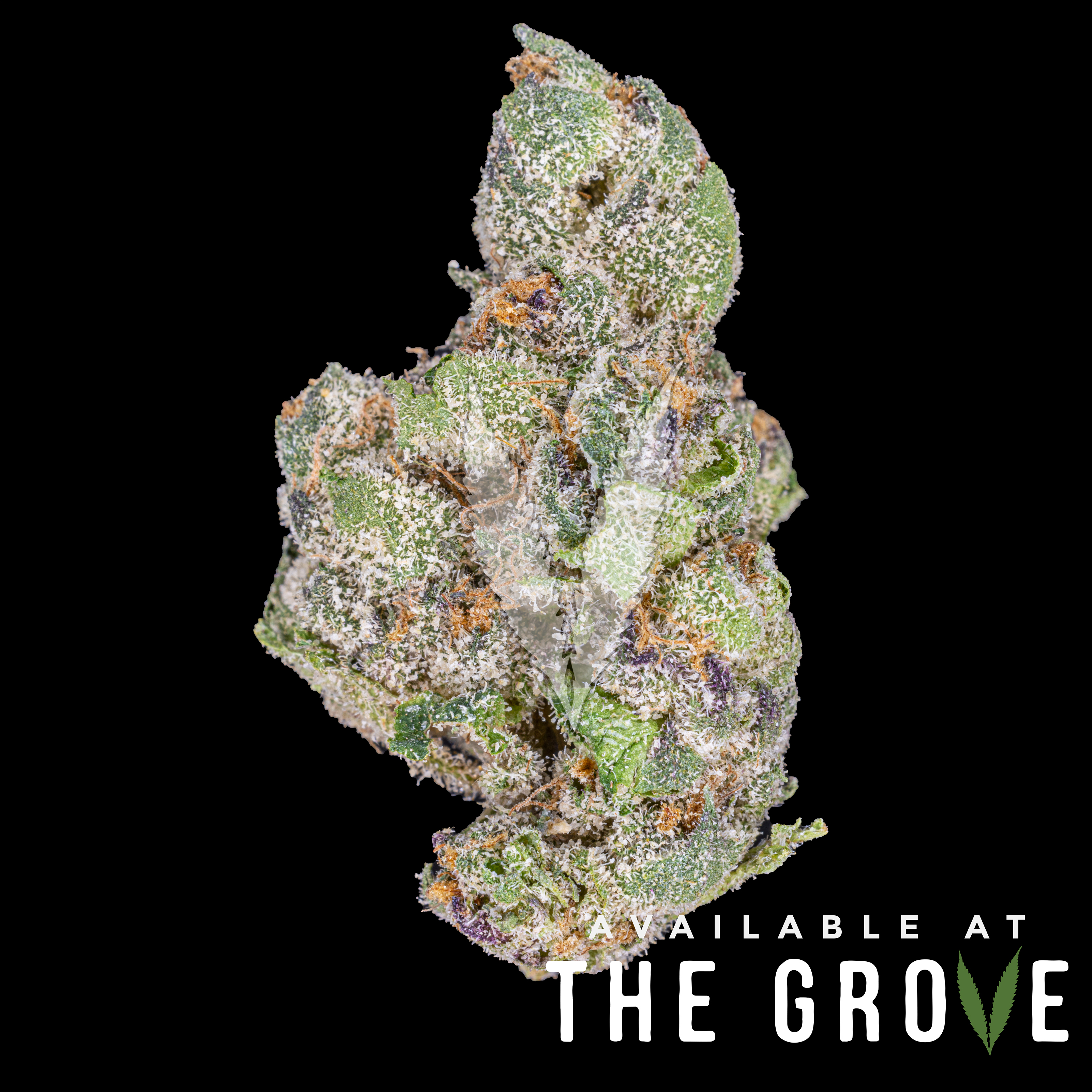 Photograph of product: Traditional | Happy Oui'd 1/8ths - 3.5g