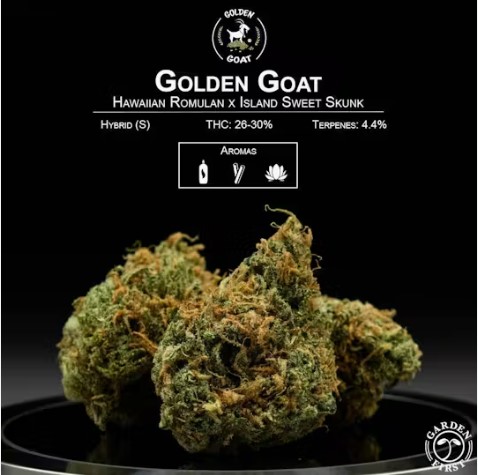 Photograph of product: Flower | Golden Goat - 28g