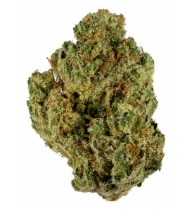 Photograph of product: Lemon Cherry Gelato 3.5g