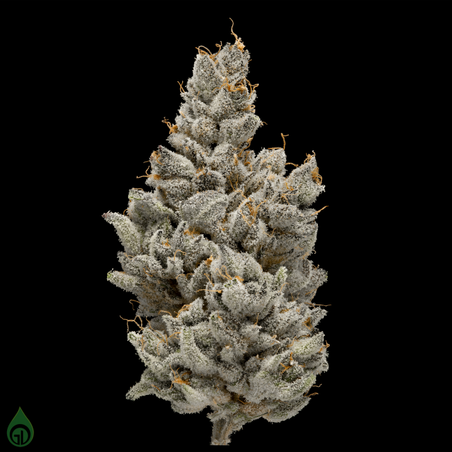 Photograph of product: Green Dot Labs - Flower - $@%&! Cake - 14g