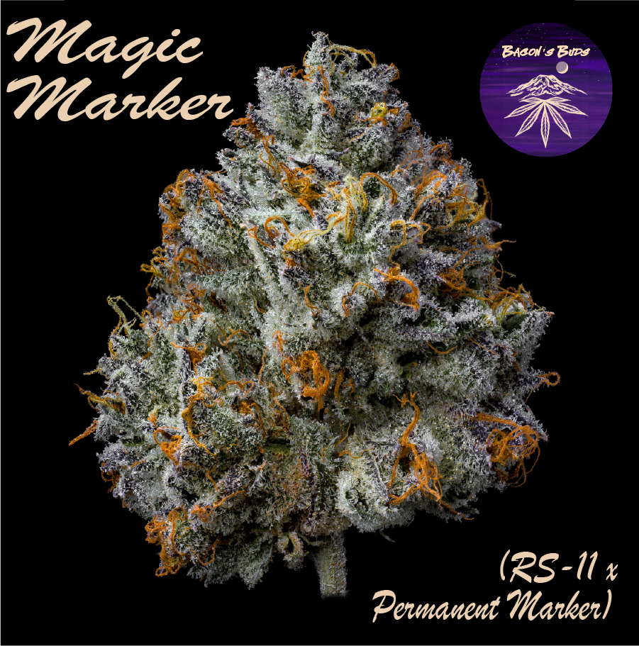Photograph of product: Magic Marker (DOH) - 7g