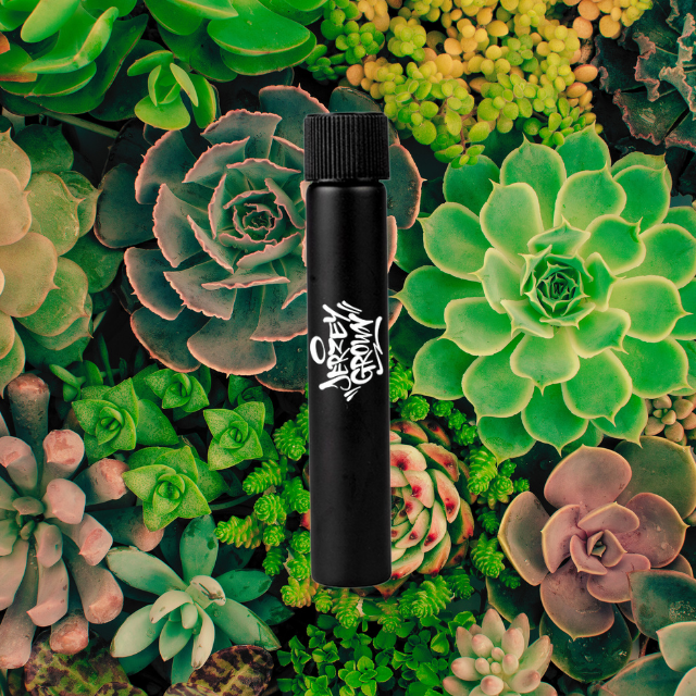 Photograph of product: PREROLL | G-CODE | 1G