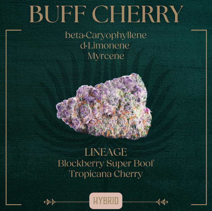 Photograph of product: 3.5g | Buff Cherry