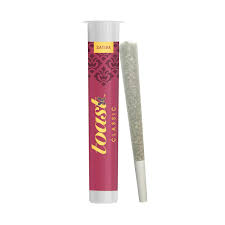 Photograph of product: Gary's Cookie Jar - 1g Preroll