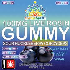 Photograph of product: Cascade Valley Oui'd | Sour Huckleberry with Cordyceps  |100mg Rosin Gummy