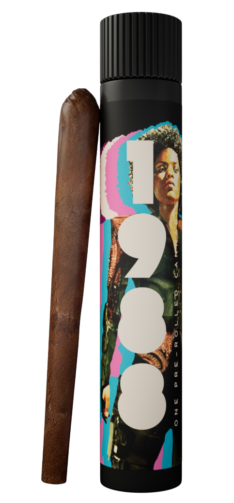 Photograph of product: 1988 Blunts IPR Blueberry 1g