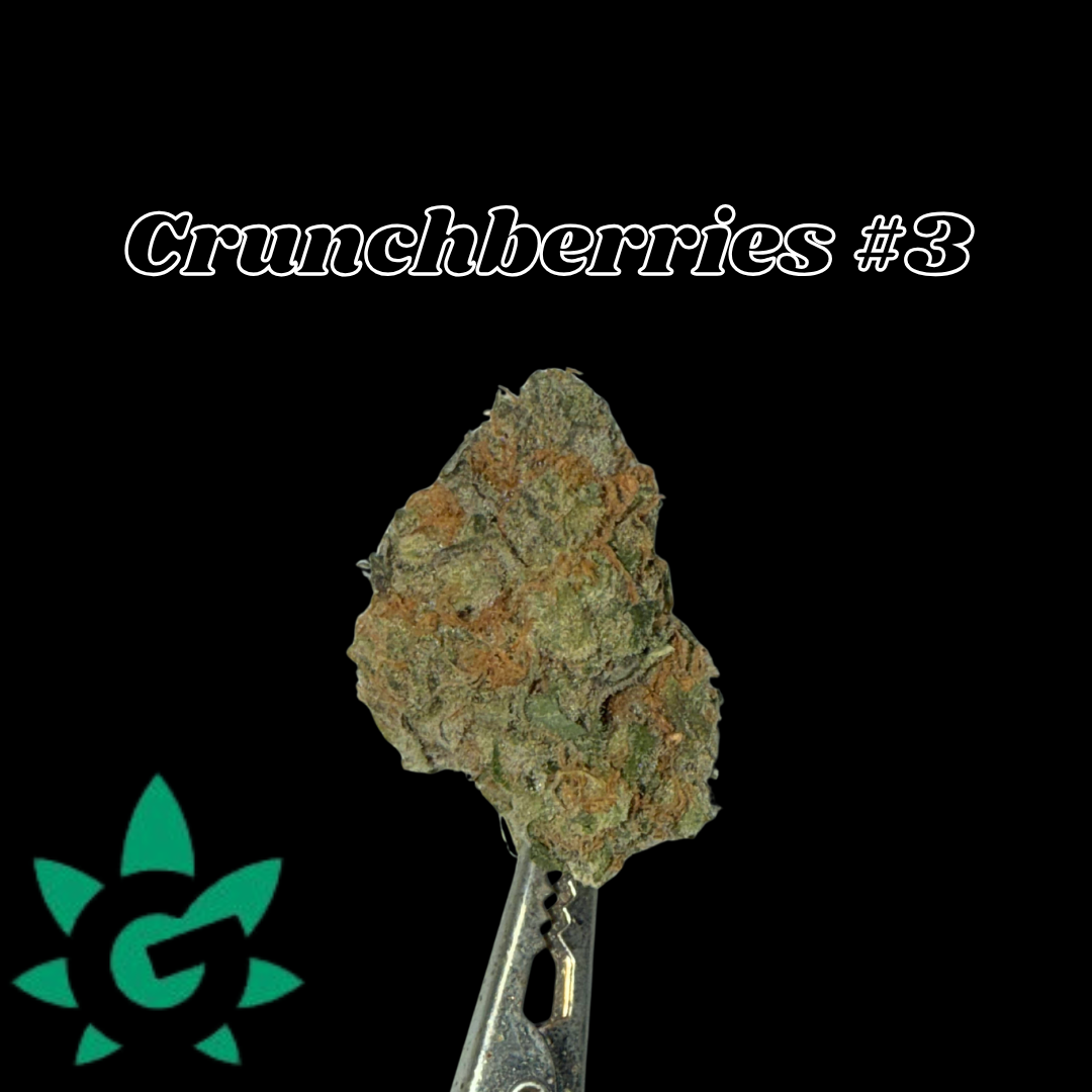 Photograph of product: Crunchberries #3 - Dutch Touch Genetics - 28g
