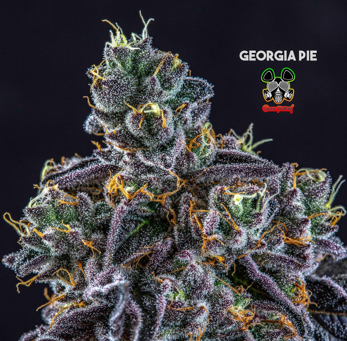 Photograph of product: Georgia Pie - 28g