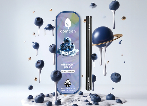 Photograph of product: Dom Pen - 1g Disposable AIO - Midnight Berry