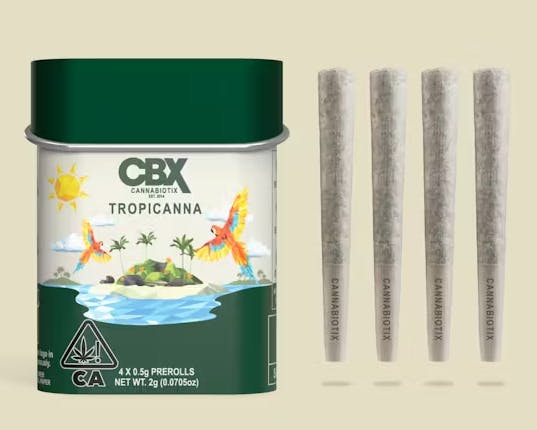 Photograph of product: Tropicanna | 4 Pk Preroll | 2g - 