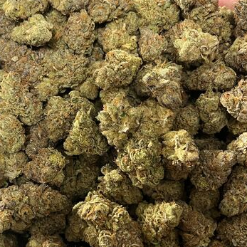 Photograph of product: Gelonade (Cultivated Industries)