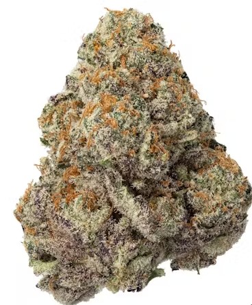 Photograph of product: Fresh - SherBetty Flower - 28g
