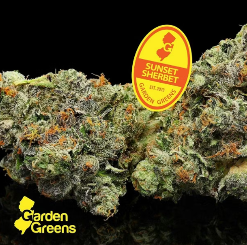 Photograph of product: Garden Greens Sunset Sherbert 3.5g