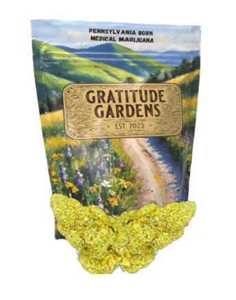 Photograph of product: Grand Master - 3.5g