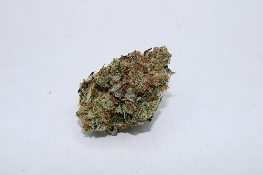 Photograph of product: SG - Dream Eater - PrePack - 7g