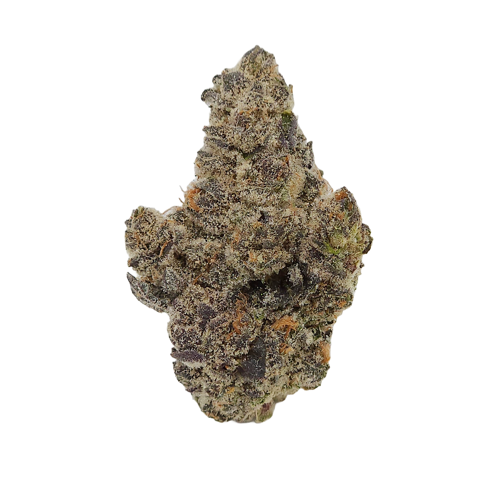 Photograph of product: Animal Tsunami - 28g